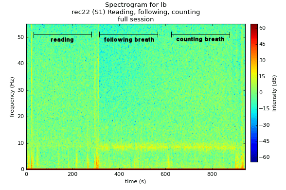 S1-rec22-full-session-lb-spectrogram-annotated
